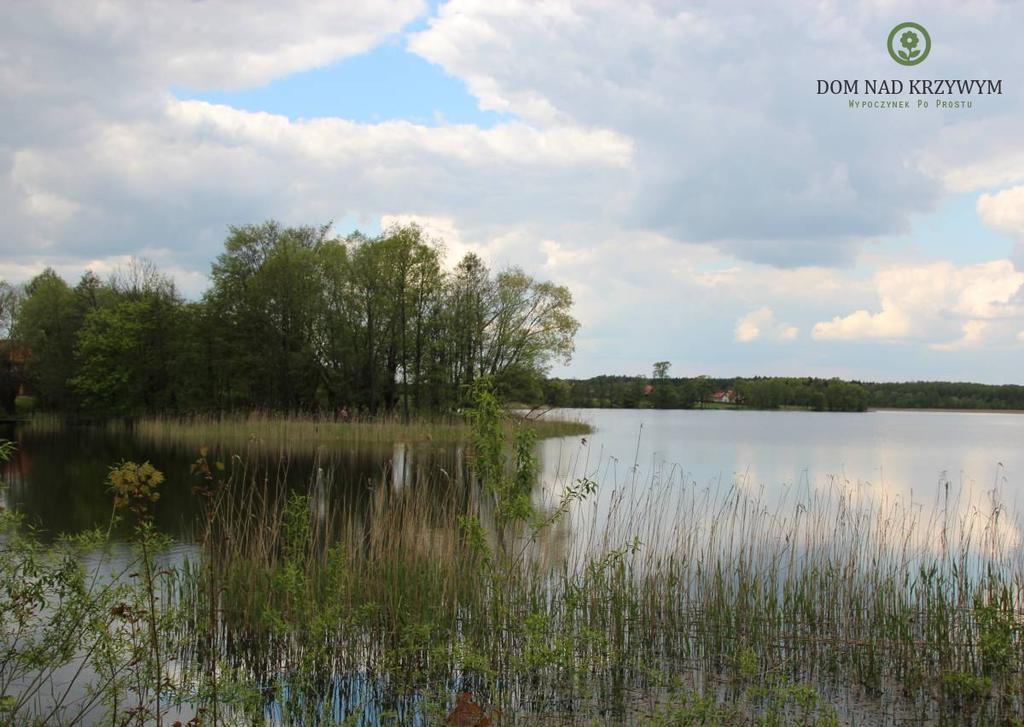 Dom Nad Krzywym - Prywatna Plaza, 2 Boiska, Sauna, Plac Zabaw Krzywe  Екстер'єр фото